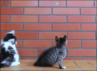 猫用レーザーポインター